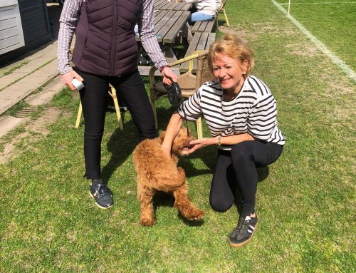 Gezelligheidswedstrijd zondag 12 april